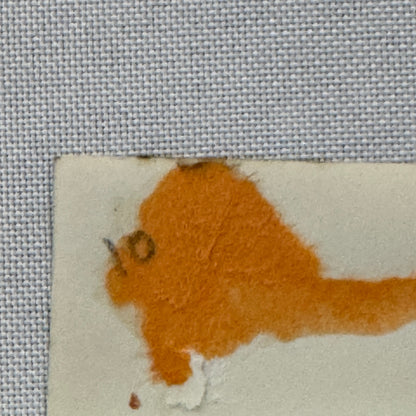 Vintage Circus Acrobat Balancing Act Photo Photograph Print