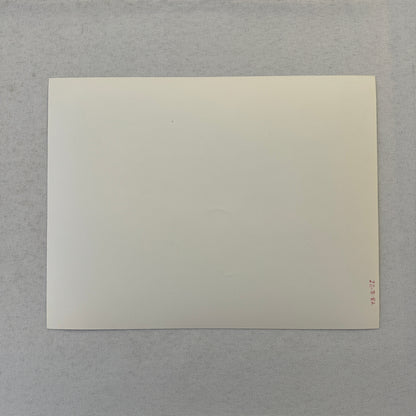 Porsche 911 SC Cabriolet Convertible Car Factory Press Photo Photograph