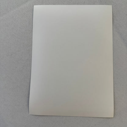 Porsche Racing Driver Teo Fabi Factory Press Photo Photograph Indy