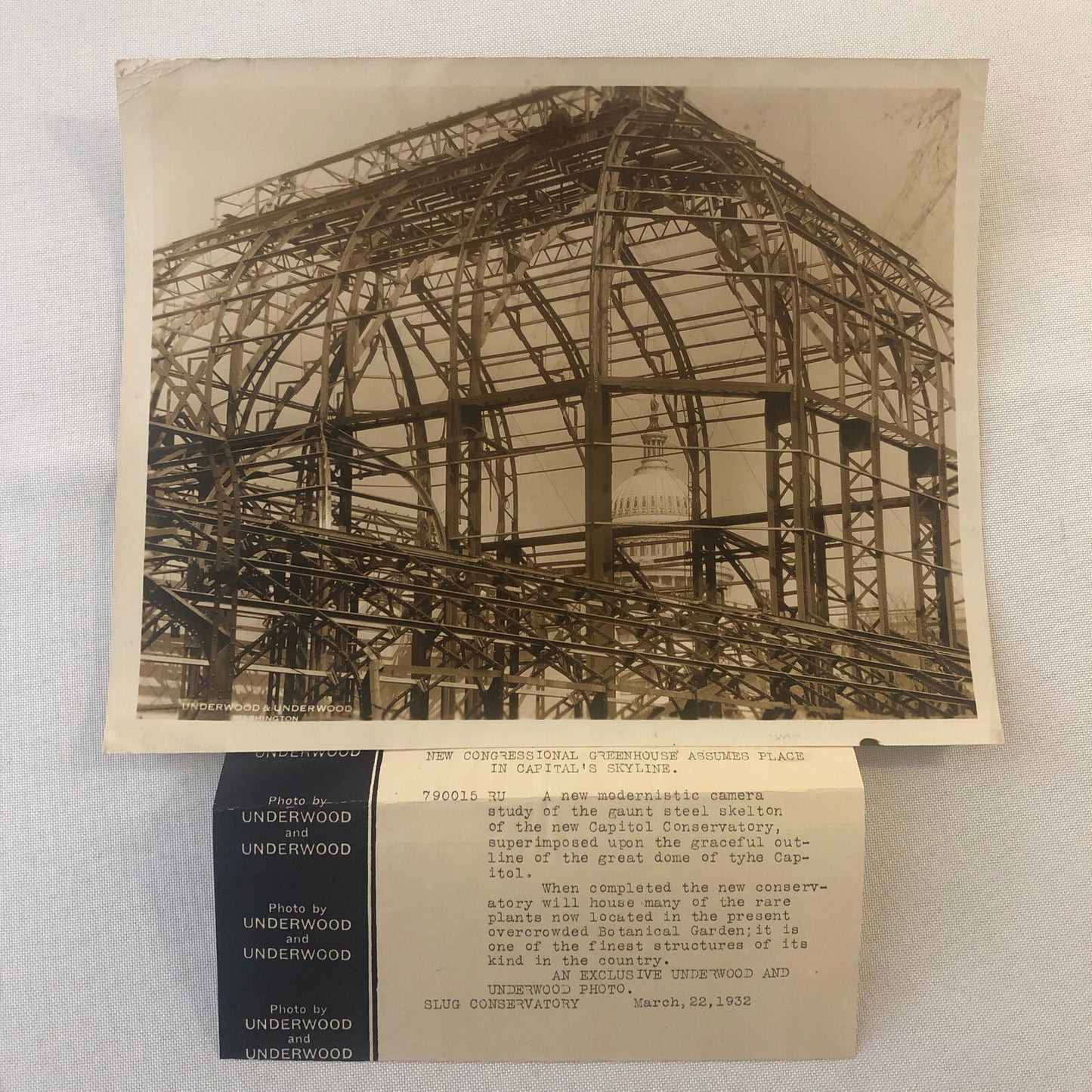 Press Photo Photograph Washington Capitol Building Construction Botanical Garden