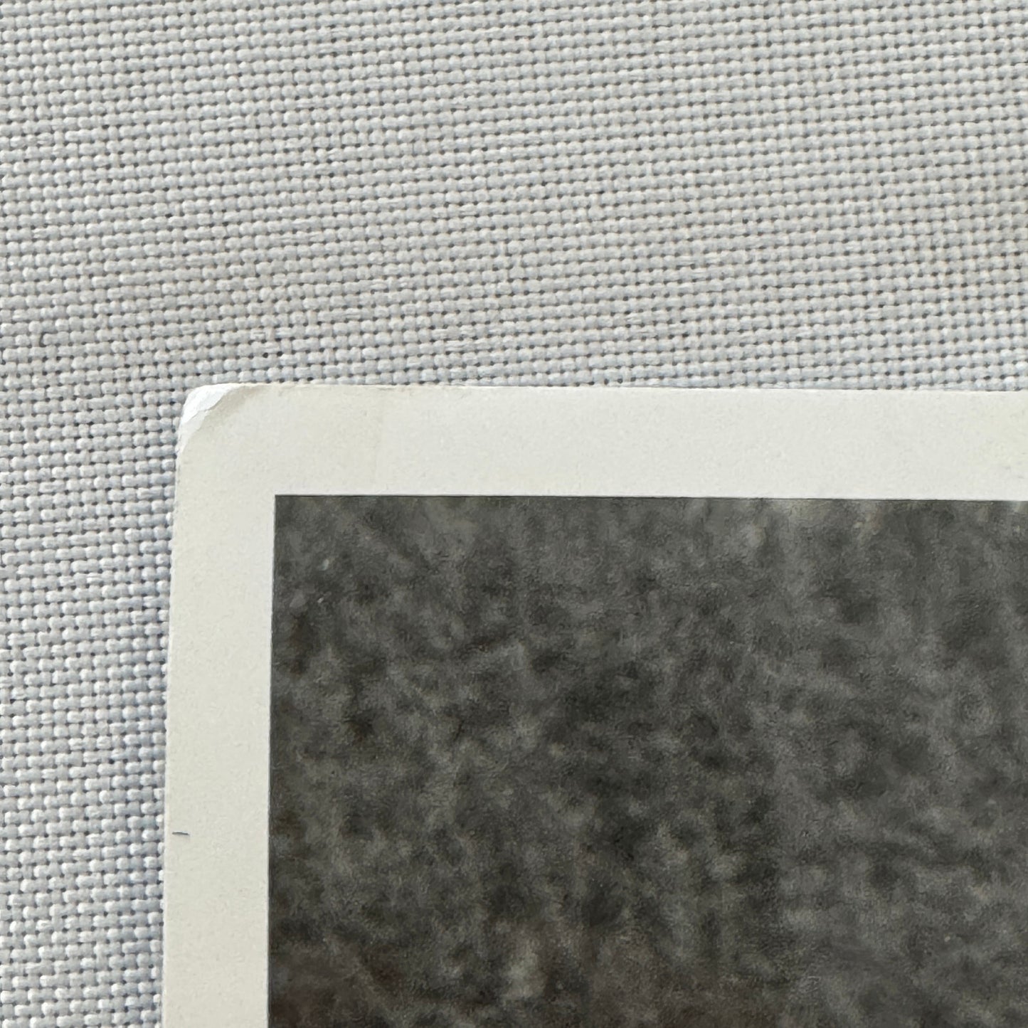 Vintage Porsche Martini Racing Car Photo Photograph Print Margus Hans Kuuse