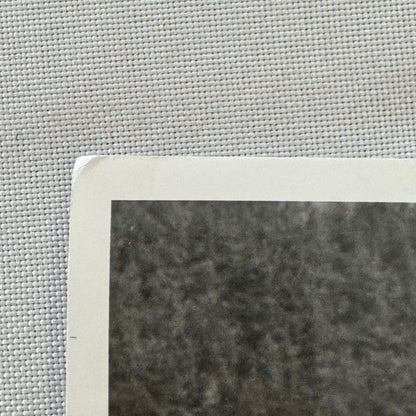 Vintage Porsche Martini Racing Car Photo Photograph Print Margus Hans Kuuse