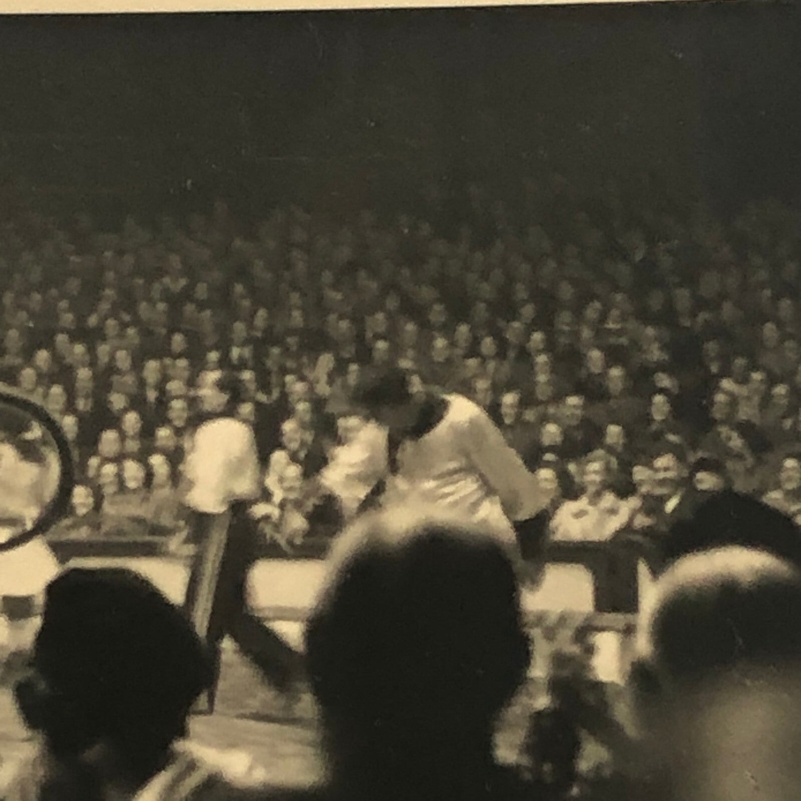 Circus Bicycle Act Photo Photograph Print Rotterdam Netherlands Vintage