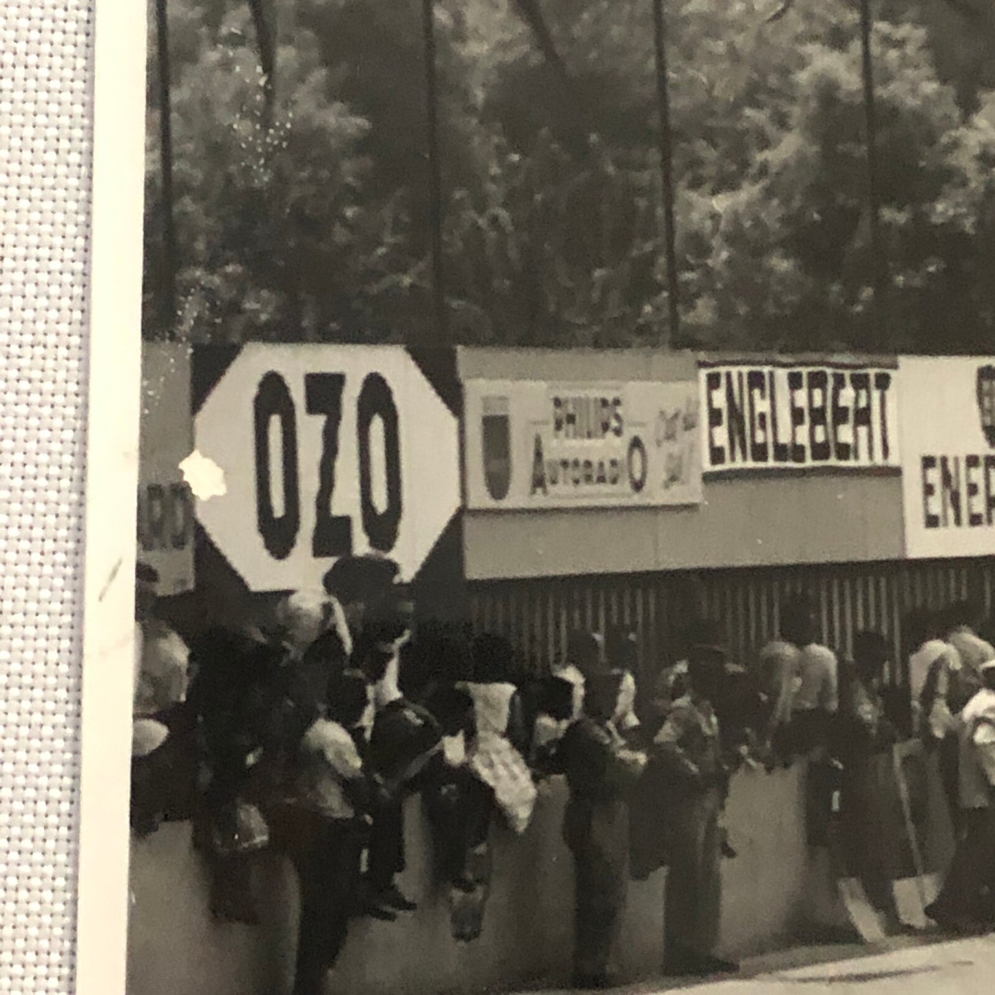 Vintage 1959 Racing Photo Photograph Print Race Cars Drivers 