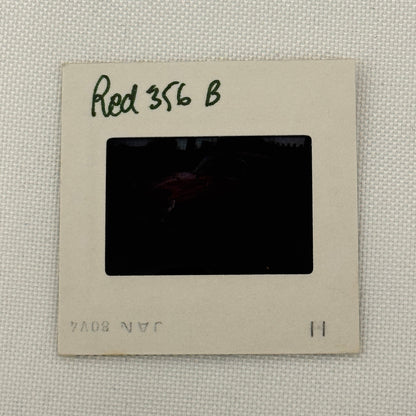 35MM Vintage Photo Slide Porsche 356 B Car Porsche 356B 1980