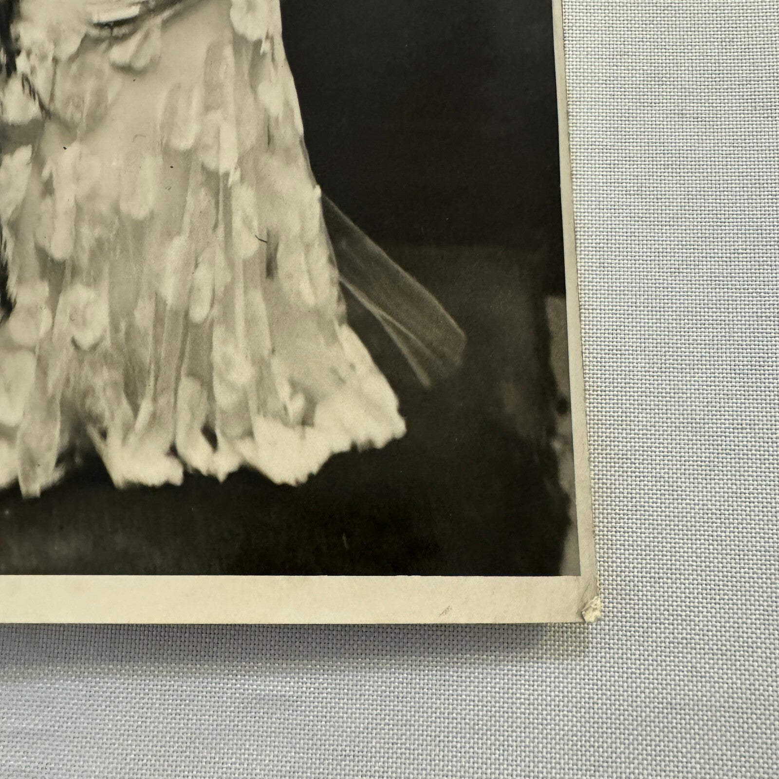 1933 Wedding Press Photo Photograph British London News Agency Cricketer