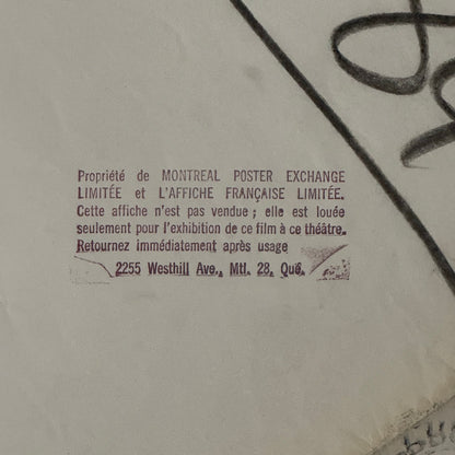 Vintage Disney Movie Poster A Tiger Walks 1964 Walt Disney Film