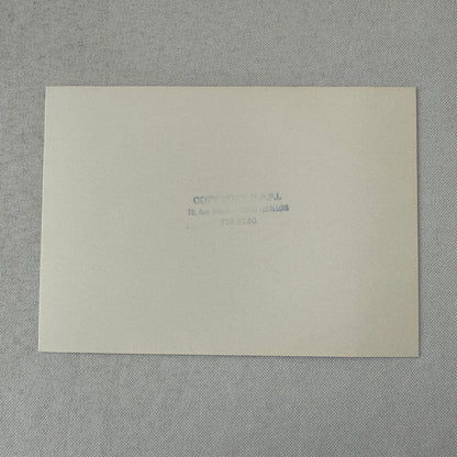 1980 Rallye Monte Carlo Press Photo Photograph DPPI Mechanic Car Engine