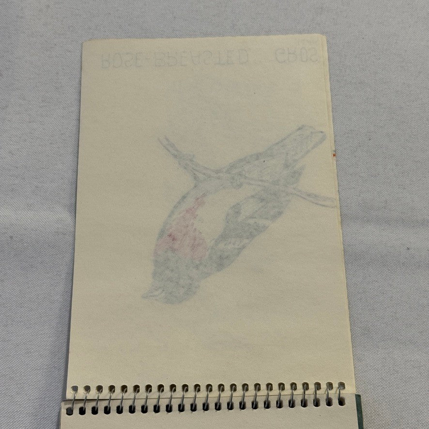 Vintage Bird Art Illustration Sketchbook Baltimore Oriole Grosbeak Nighthawk