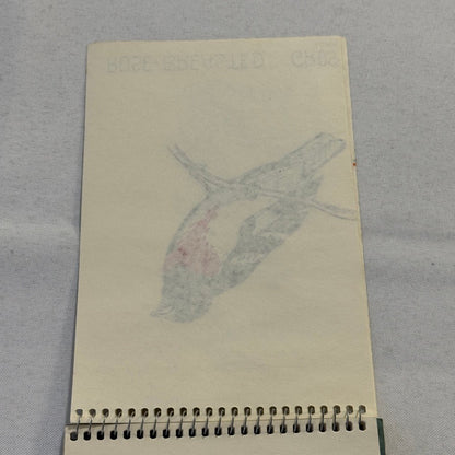Vintage Bird Art Illustration Sketchbook Baltimore Oriole Grosbeak Nighthawk