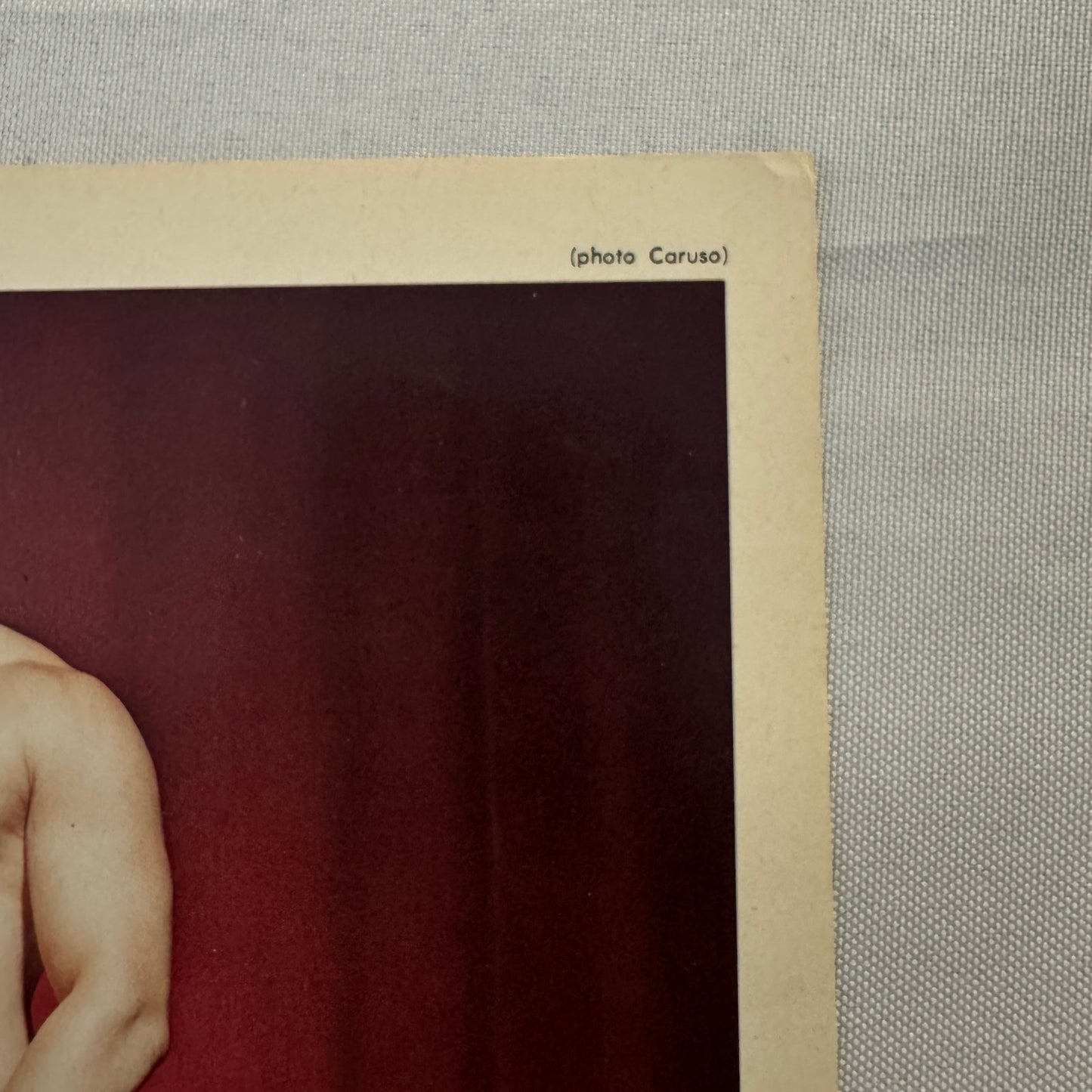 Vintage Wrestling Print Insert Dino Bravo Gino Brito Quebec French 1973